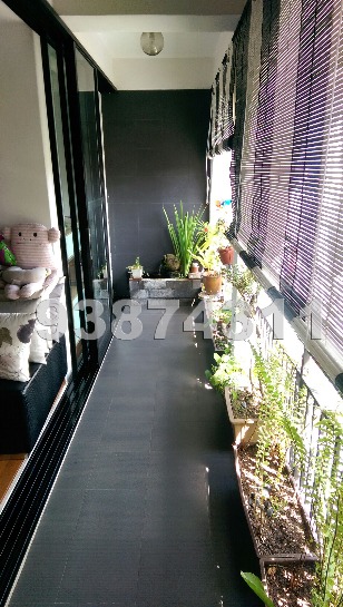Sun Court (D21), Apartment #1049622